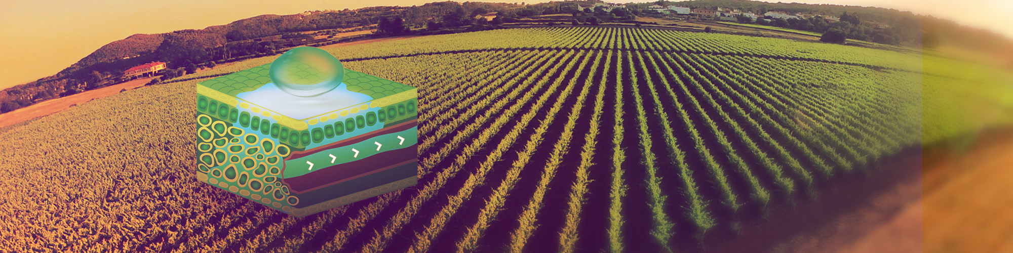 Banner Banner 2000x500 Terpen Fundo